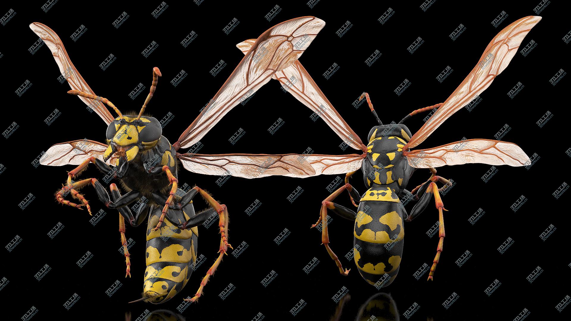 images/goods_img/202104093/3D Wasp Attack Pose Fur/4.jpg